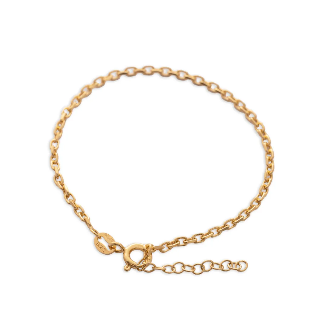 55031 - P Aros IT 2 mm 15.5 Cms + Ext